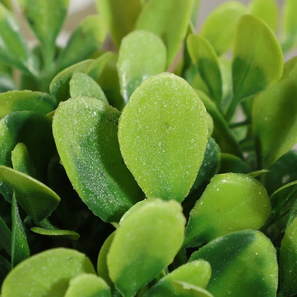 3pcs Green Artificial Plants Grass Woven Small Potted Plants Home Decoration home decor  home decoration  plants