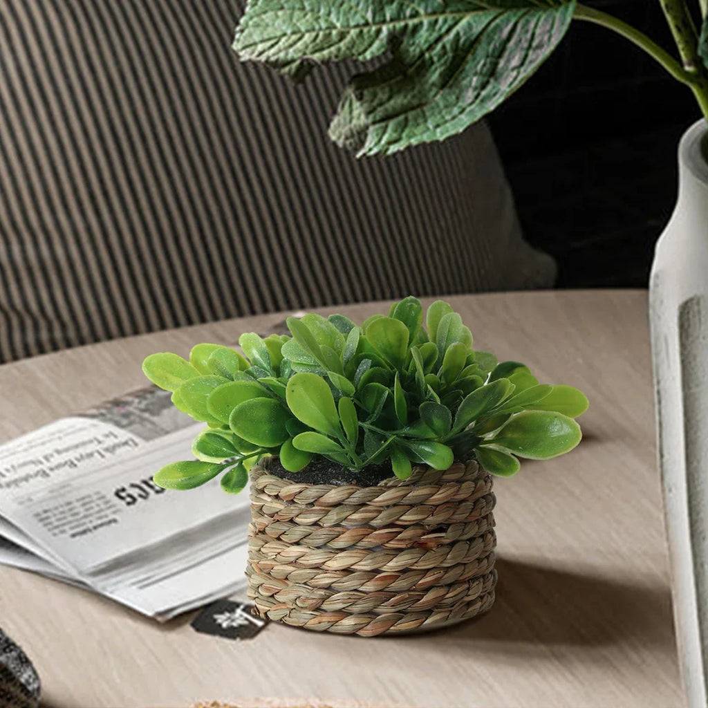 3pcs Green Artificial Plants Grass Woven Small Potted Plants Home Decoration home decor  home decoration  plants