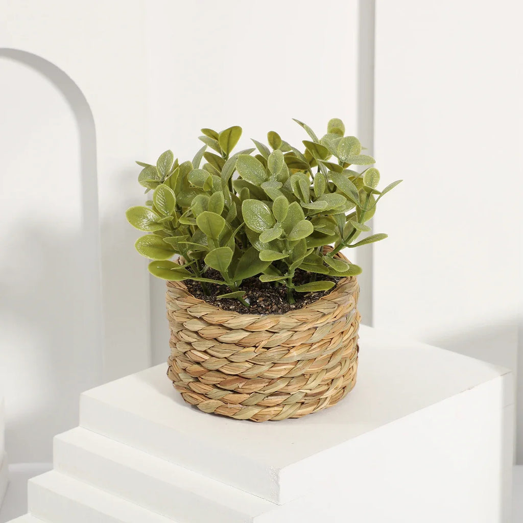 3pcs Green Artificial Plants Grass Woven Small Potted Plants Home Decoration home decor  home decoration  plants