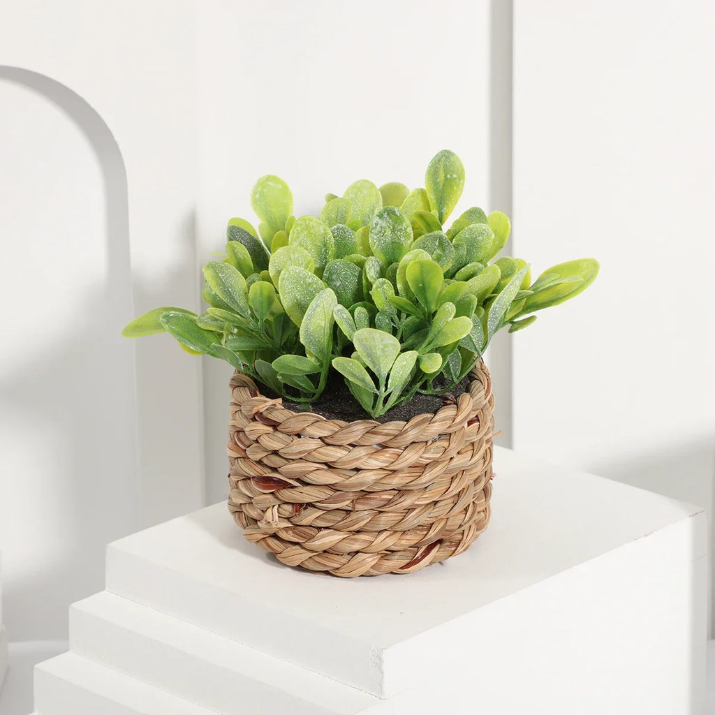 3pcs Green Artificial Plants Grass Woven Small Potted Plants Home Decoration home decor  home decoration  plants